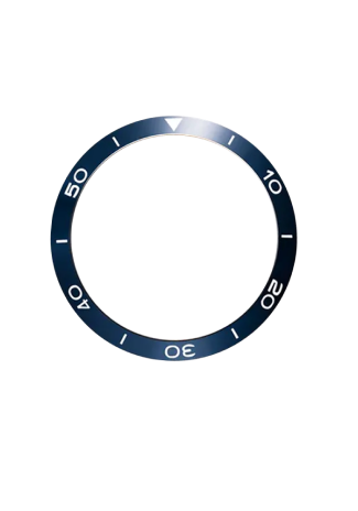 Bezel_1