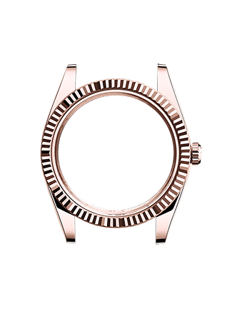 клрпус Day-Date